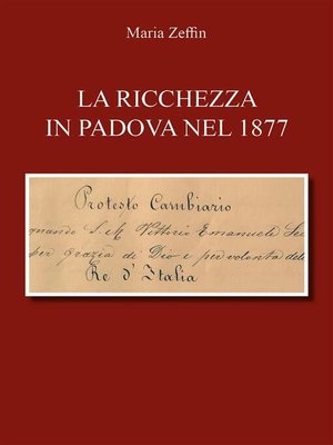 cover image of La ricchezza in Padova nel 1877